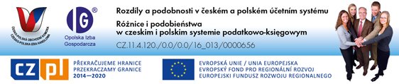 Rozdíly a podobnosti v českém a polském účetním systému