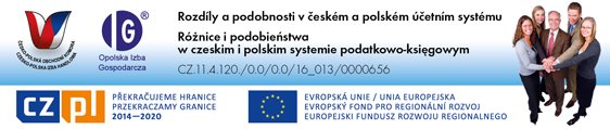  Rozdíly a podobnosti v českém a polském účetním systému